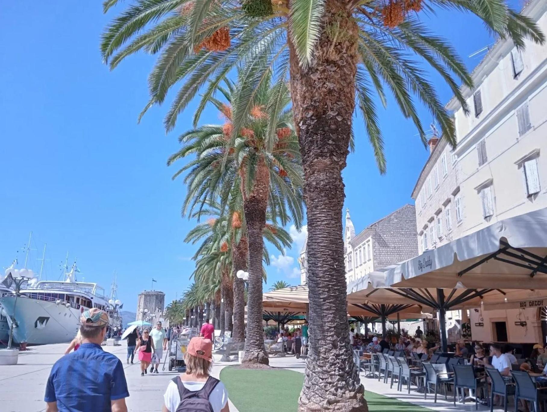 טרוגיר Apartman Franka מראה חיצוני תמונה